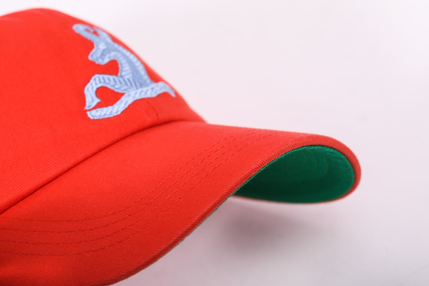GamsCap