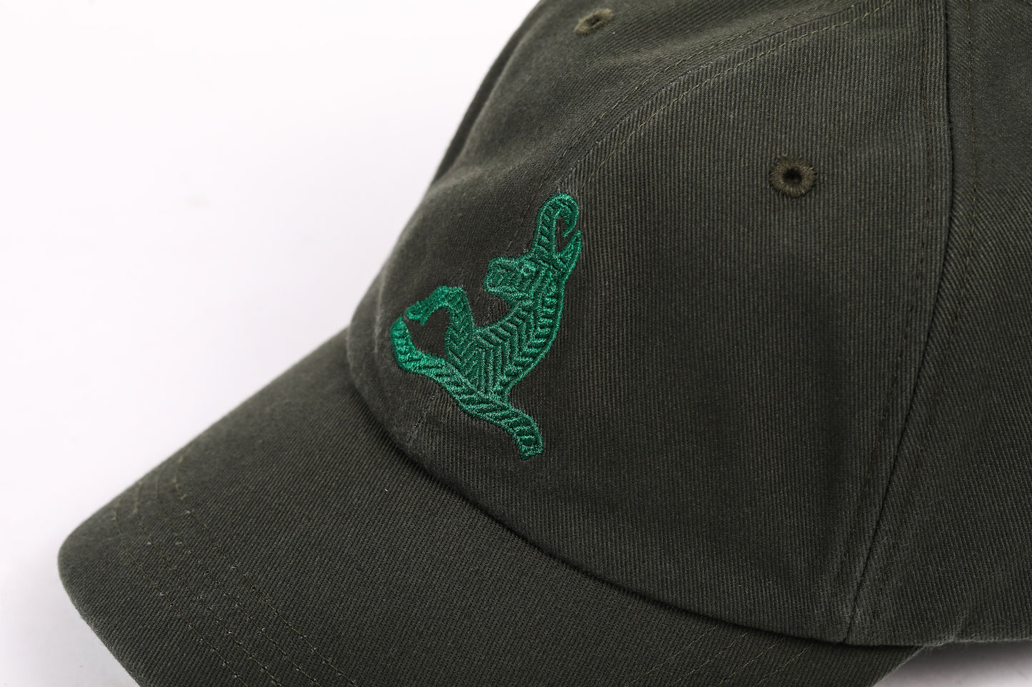 GamsCap