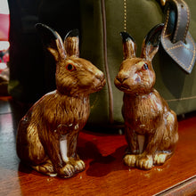 Laden Sie das Bild in den Galerie-Viewer, Da liegt der Hase im Pfeffer - Salz und Pfefferstreuer

